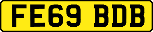 FE69BDB