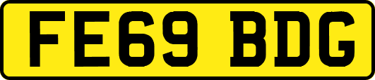 FE69BDG