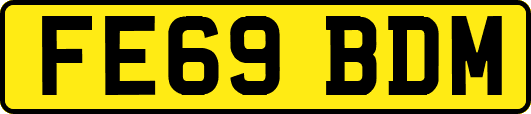 FE69BDM