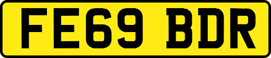 FE69BDR