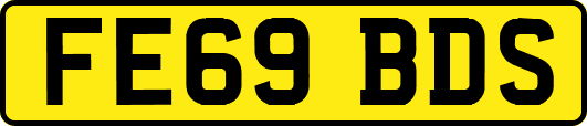 FE69BDS