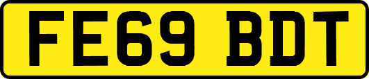 FE69BDT