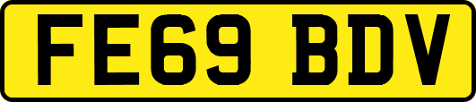 FE69BDV