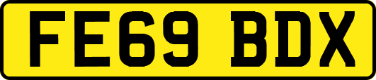 FE69BDX