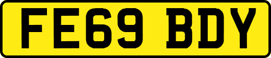 FE69BDY