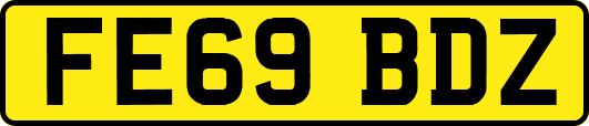 FE69BDZ
