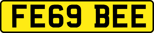 FE69BEE