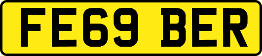 FE69BER