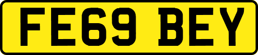 FE69BEY