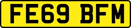FE69BFM