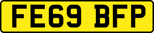 FE69BFP