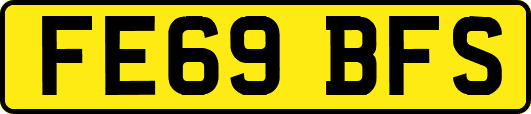 FE69BFS