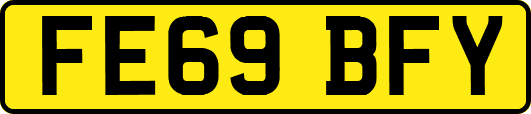 FE69BFY