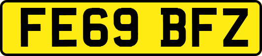 FE69BFZ