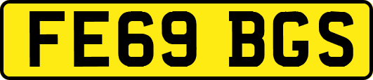FE69BGS