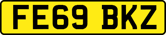FE69BKZ