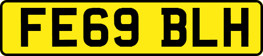 FE69BLH