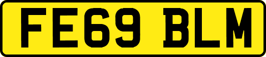 FE69BLM