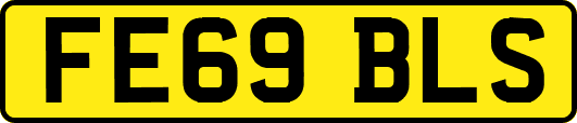 FE69BLS