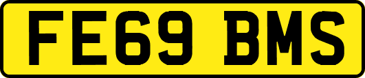 FE69BMS