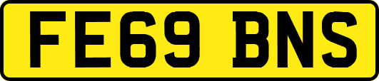 FE69BNS