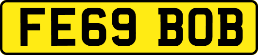 FE69BOB