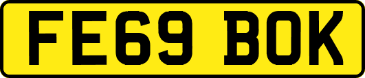 FE69BOK
