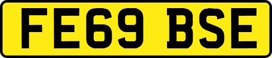FE69BSE