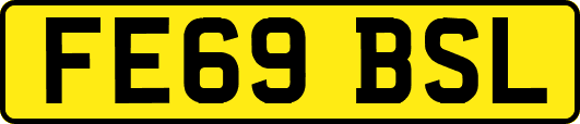 FE69BSL