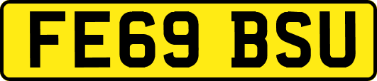 FE69BSU