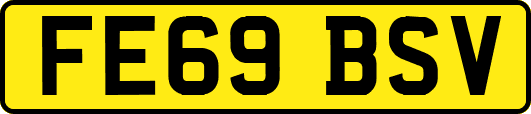 FE69BSV