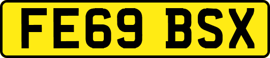 FE69BSX