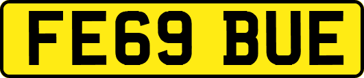 FE69BUE