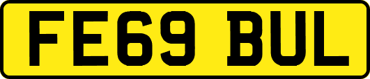 FE69BUL