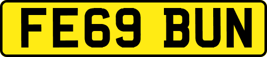 FE69BUN