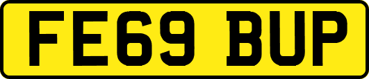 FE69BUP