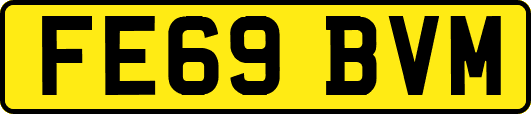 FE69BVM