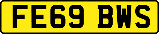 FE69BWS
