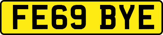 FE69BYE