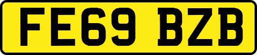 FE69BZB