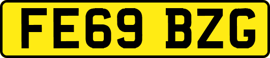 FE69BZG