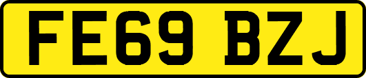 FE69BZJ