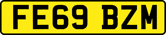 FE69BZM