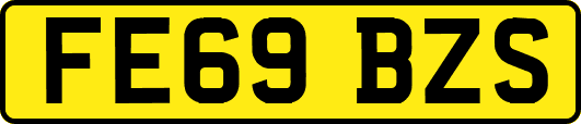 FE69BZS