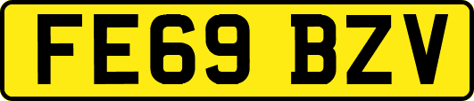 FE69BZV