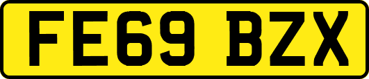 FE69BZX