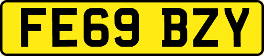 FE69BZY