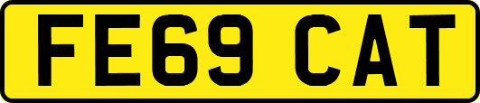 FE69CAT