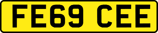 FE69CEE