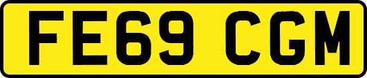 FE69CGM